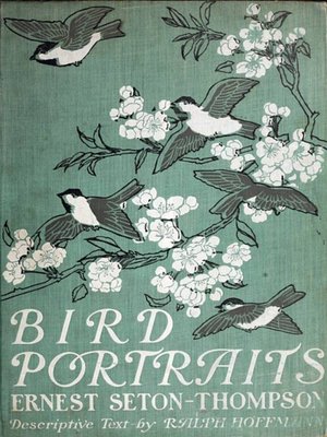 cover image of Bird Portraits